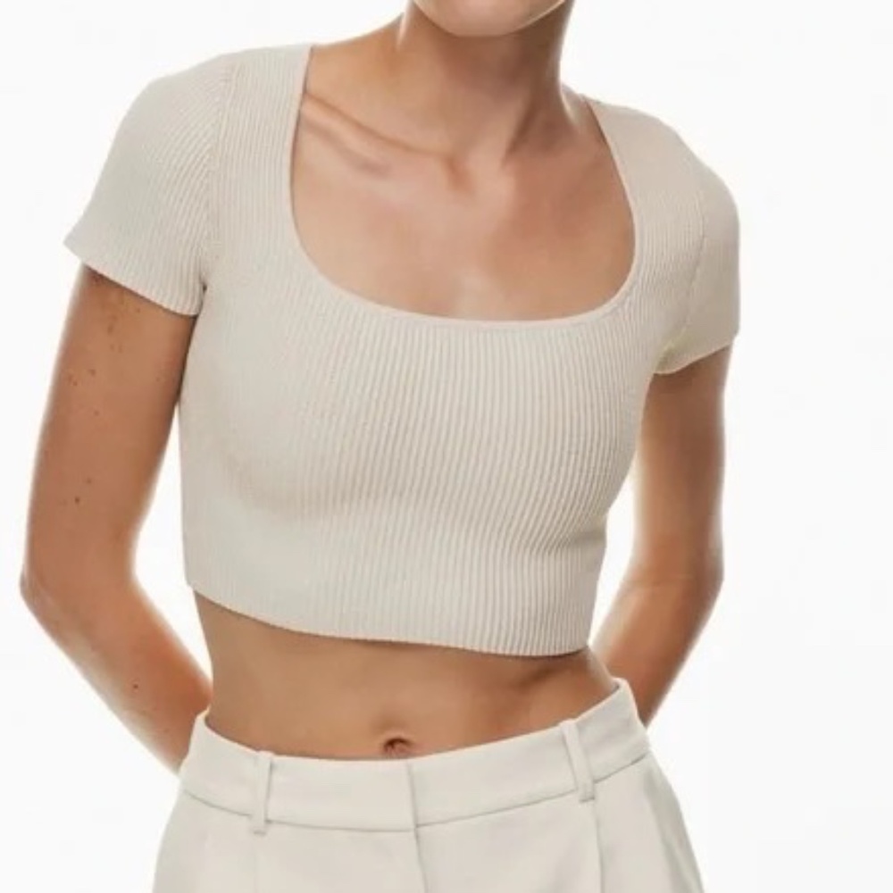 Aritzia | Babaton | L | Sculpt Knit | Cropped Tee
